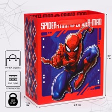 Gift package, 23x27x11.5 cm, packaging, spider-man