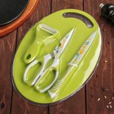 A set of kitchen utensils of the share, 4 items: knife, scissors with an anti -wound coating, vegetable cleaning, board, green color