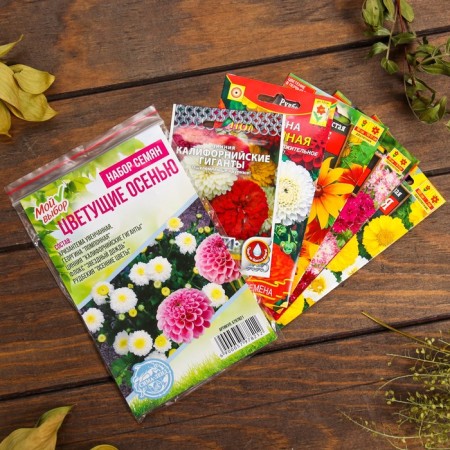 A set of flowers "flowering in the fall"