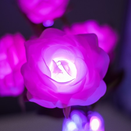Night Rose 5XLED 4000K Pink 20x20x50cm Risalux-3