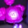 Night Rose 5XLED 4000K Pink 20x20x50cm Risalux