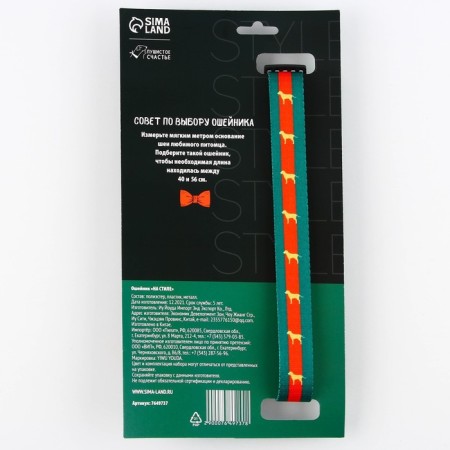 Collar "in style", fastener - fastx, 2.5 cm, 40-55 cm-2