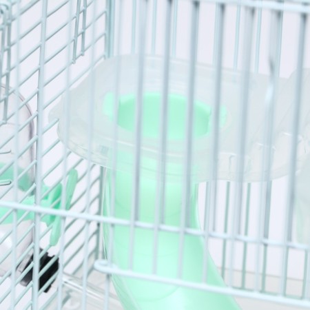 A cage for rodents "Pigger", 23 x 17 x 33 cm, transparent, green content-7