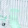 A cage for rodents "Pigger", 23 x 17 x 33 cm, transparent, green content