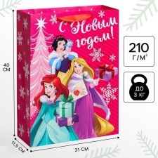 New Year. Gift package, 31x40x11 cm, packaging, princesses