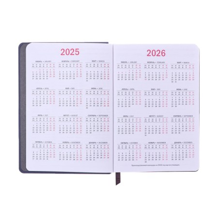 Dated diary of 2025, A6+, 176 sheets "Lyon", solid cover, pancake embossing, with liesa, block 80 g/m2, gray-6