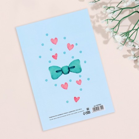 Folder for the birth certificate "Diplon" Blue Bant, A5-1