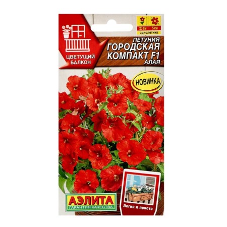 Petunia flowers "City compact" F1 Alai, c/p, 7 pcs