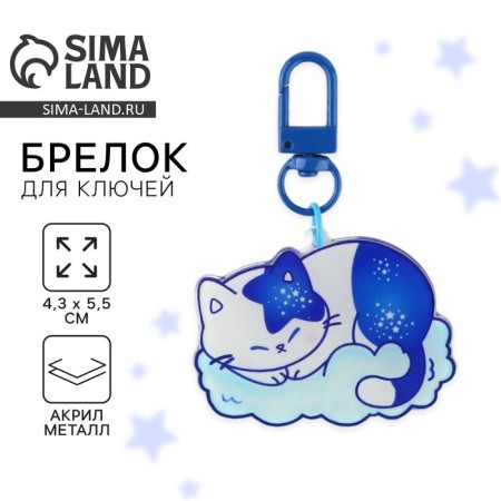 Acrylic “cat” keychain with carbine, 4.3 x 5.5 cm