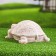 Garden figure "Turtle Big" ivory, 28x16x10cm