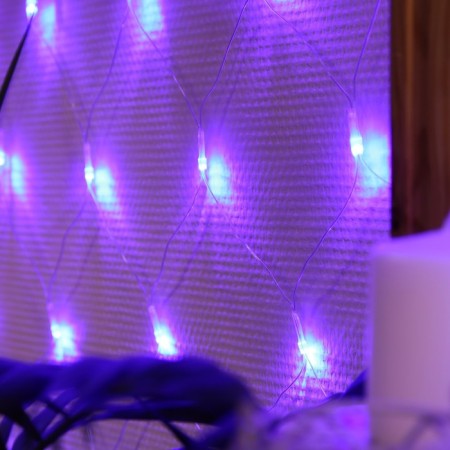 Garland "Network" 1.6 × 1.6 m, IP20, transparent thread, 144 LED, glow blue, 8 modes, 220 V-2