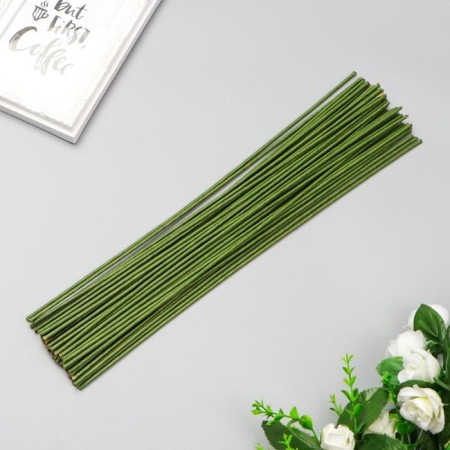 Wire for the manufacture of artificial colors "Green" 40 cm section 2.5 mm