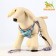 A set of ammunition with a soft harness, leash 120 x 1 cm, Osh 28-54 cm, OG 36-60 cm, gray-blue.
