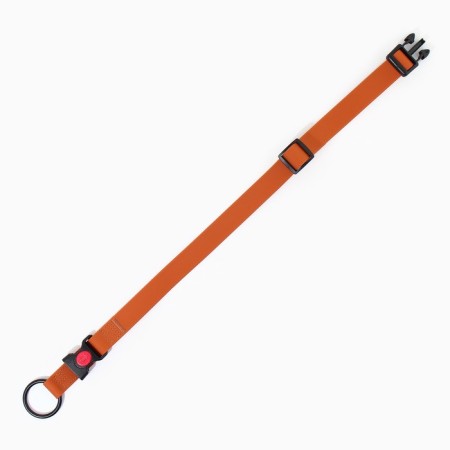 Dogs for dogs biotan oscia 40-60 cm, brown-3