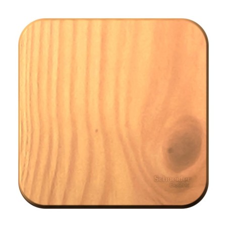 Passing SE BLANCA, 10 A, 1 key, IP20, invoice, ash color, Blnva106015