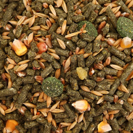 Feed "Piggon" for rabbits, with fruits, 400 g-1