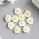 Caboshon "Chamomile" 11 mm