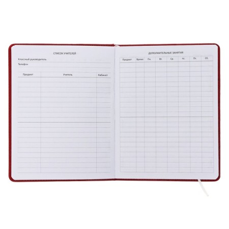 Universal diary for grade 1-11 My Style, hard cover, artificial leather, foam rubber, lies, 80 g/m2-3