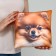 Antistress pillow "Spitz"