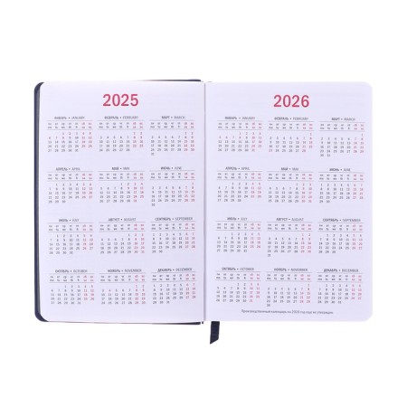 Dated diary of 2025, A6+, 176 sheets "Lyon", solid cover, pancake embossing, with liesa, block 80 g/m2, blue-6