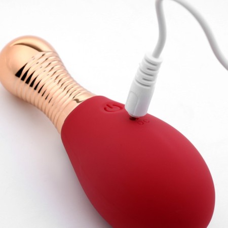 Cliter Vibrator, 10 modes, PDU, burgundy-3