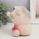Growing gift Eco -Zhizhivchik "Kisa" Gift packaging
