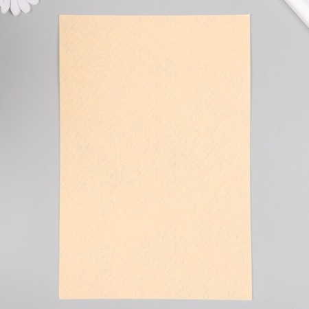 Father hard 1 mm "Sand" set 10 sheets format A4-3