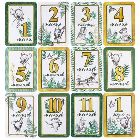 A set of cards for photo shoots, Disney-1