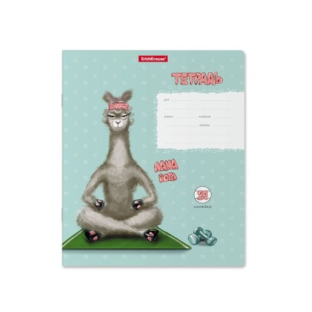 Notebook 24 sheets in the ruler, erichkrause "Lama", cover coated cardboard, OFSET block, mix-7