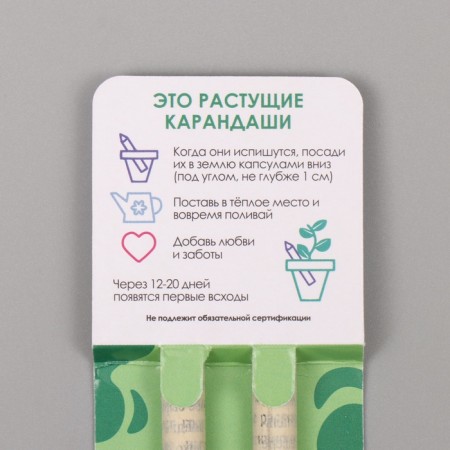 Growing gift pencils Mini "Mint and Paprika" set 2 pcs-2