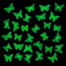 A set of luminous decor 