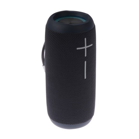 Portable column Hyundai H-PAC610, 20W, BT, Microsd, USB, AUX, 2000 MAKS, Blue