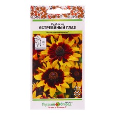 Flowers of Rudbeckia 