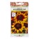 Flowers of Rudbeckia "Hawk Eye", 30 pcs