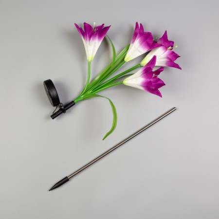 Sadovy lamp on the sunny battery "Lilia Violet", 80 cm, 4 LED, glow of multi (RGB)-3