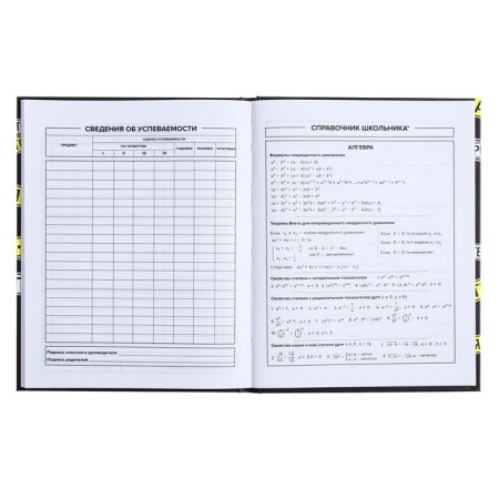 Universal diary for grades 1-11, 48 sheets "Private Territory", hard cover, matte lamination-6
