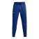 Men's pants Under Armour Rival FLC Signature JGR, size 48-50 (1366366-432)