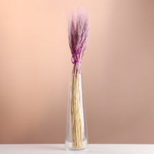 A set of dried flowers 
