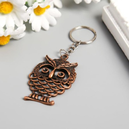 Trick Metal "Vygushka on a branch" Flat bronze 5.3x4.4 cm-1