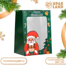 Пакет подарочный с окном"Дед мороз",   18 х 25 х 13 см, зеленый