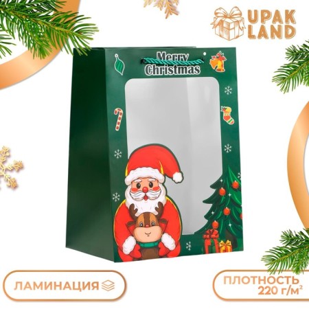 Gift package with the window "Santa Claus", 18 x 25 x 13 cm, green