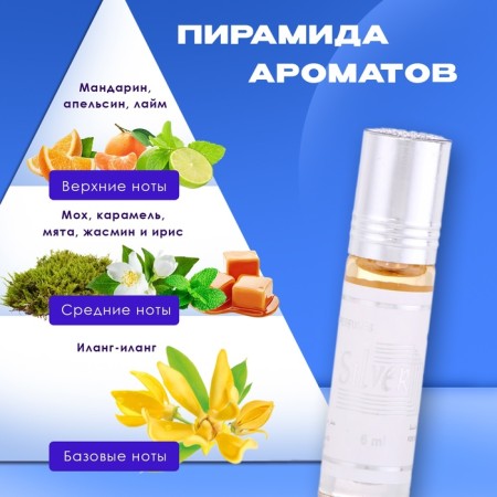 Men's oil perfume Silver, 6 ml-1
