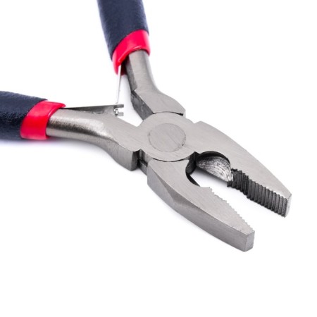 Fisheries Fisheries Direct Namazu, l = 115 mm-3