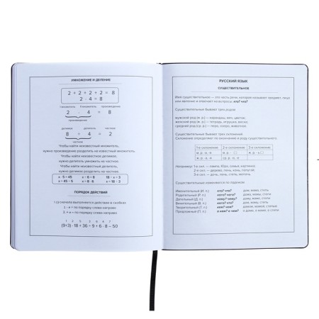 Universal Diary Grade 1-11, 48 sheets "graffitist", covering of artificial leather, liesa, offset block-10