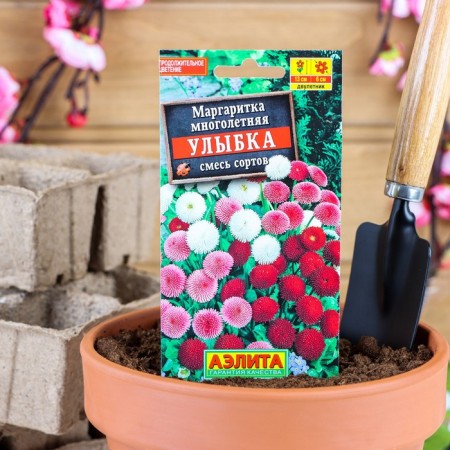 Flower seeds Margarita "Smile", 0.05 g