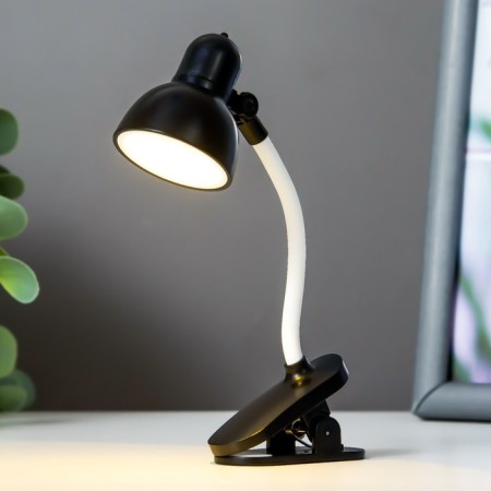 Reading LED LED 2W from AG3 batteries MIX 2.2x3x15 cm Risalux-5