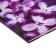 Diary for grades 5-11, "flowers", solid cover 7BC, glossy lamination, 48 sheets