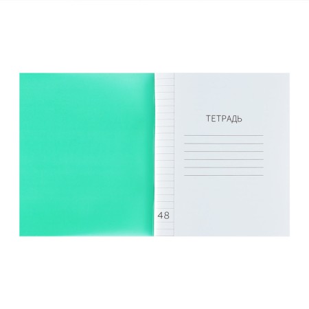 Notebook of 48 sheets in the calligrata "green" line, plastic cover, with alphabet, an offset unit-2