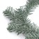 Decor "spruce spray", set of 5 pcs., Size 1 pc. - 22 × 9 × 2 cm