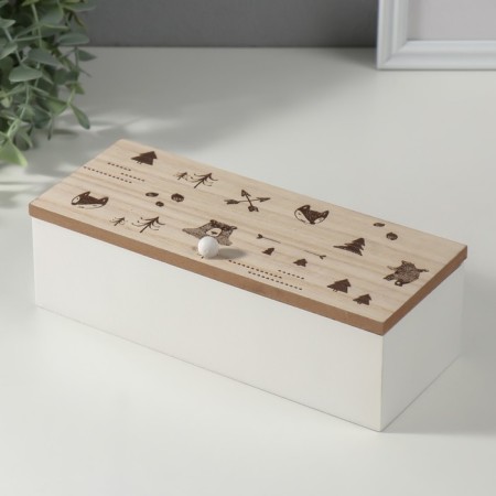 Casket tree with divisions "Forest Beasts" 23x9x8.3 cm